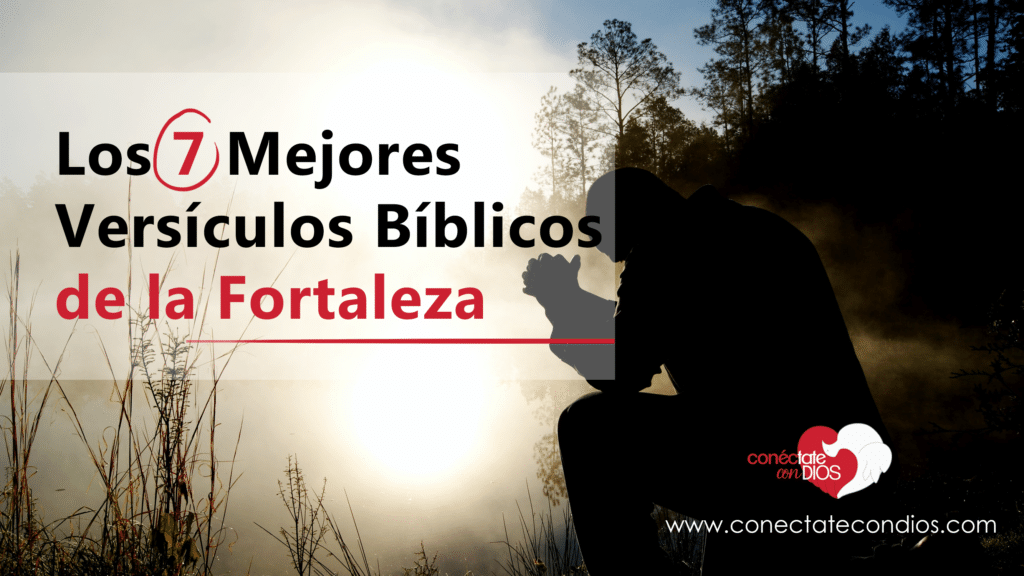 Los 7 Mejores Versículos para la Ofrenda Conéctate Con Dios