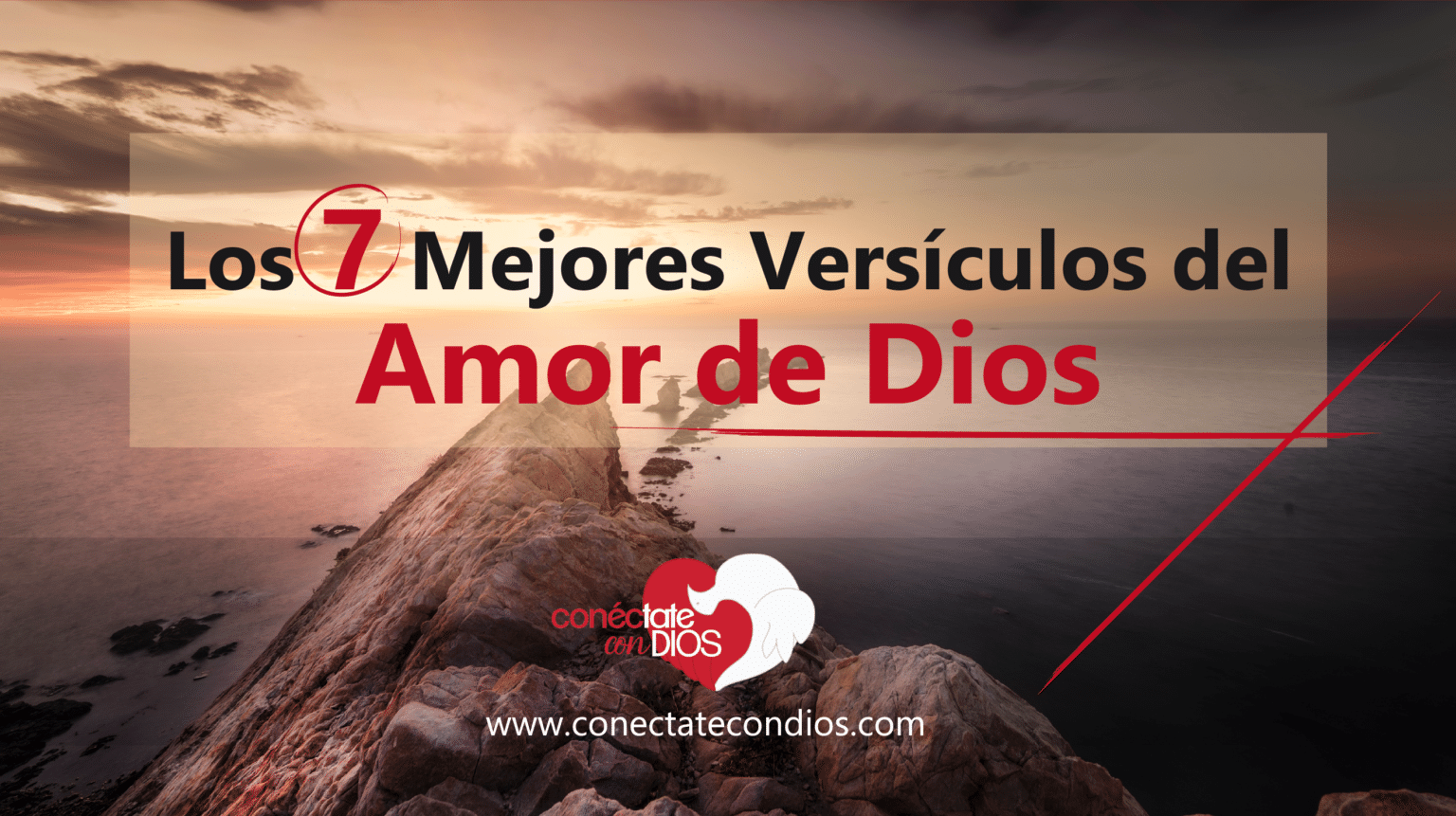 Los 7 Mejores Versículos del Amor de Dios | Conéctate Con Dios