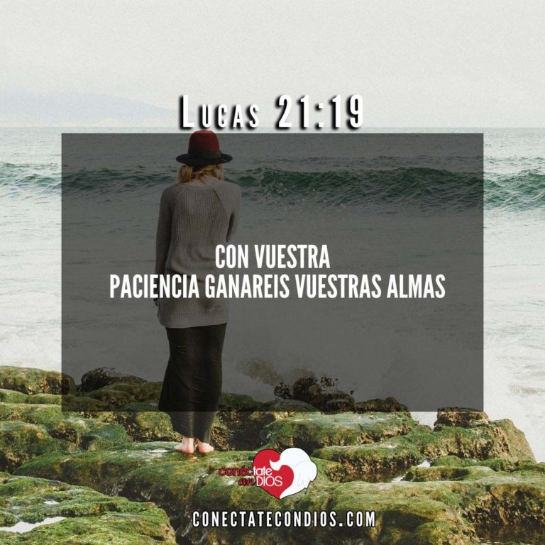 Los 7 Mejores Versículos Sobre La Paciencia - Conéctate Con Dios