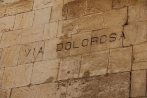 Versículos Sobre El Gozo De La Salvación